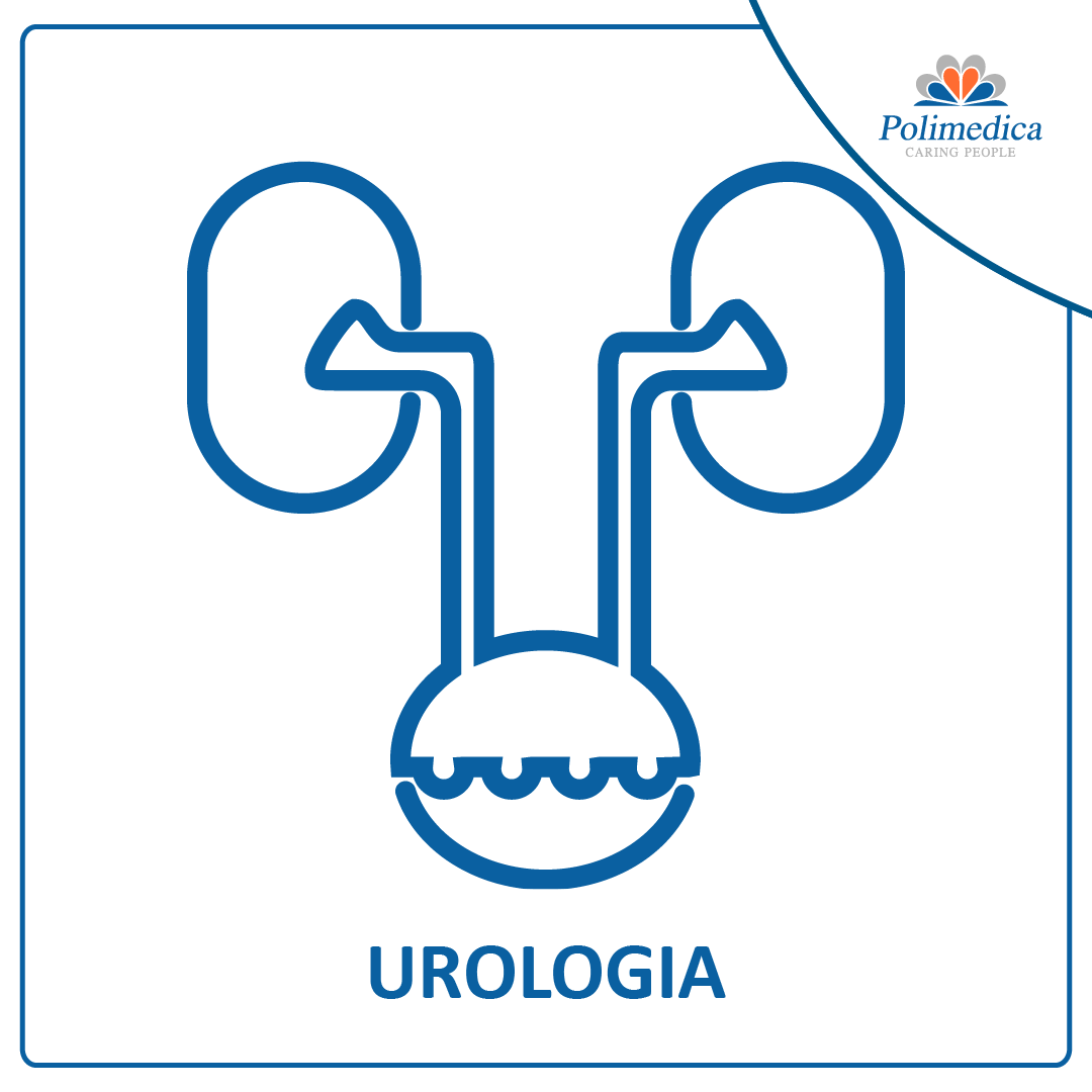 Immagine con l'icona della branca Urologia.
